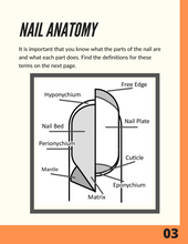 Load image into Gallery viewer, Intro to Acrylic Training Manual
